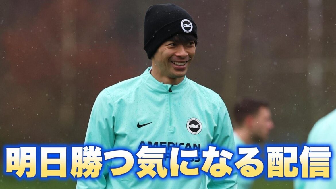 Nous gagnerons demain ! ! ! !