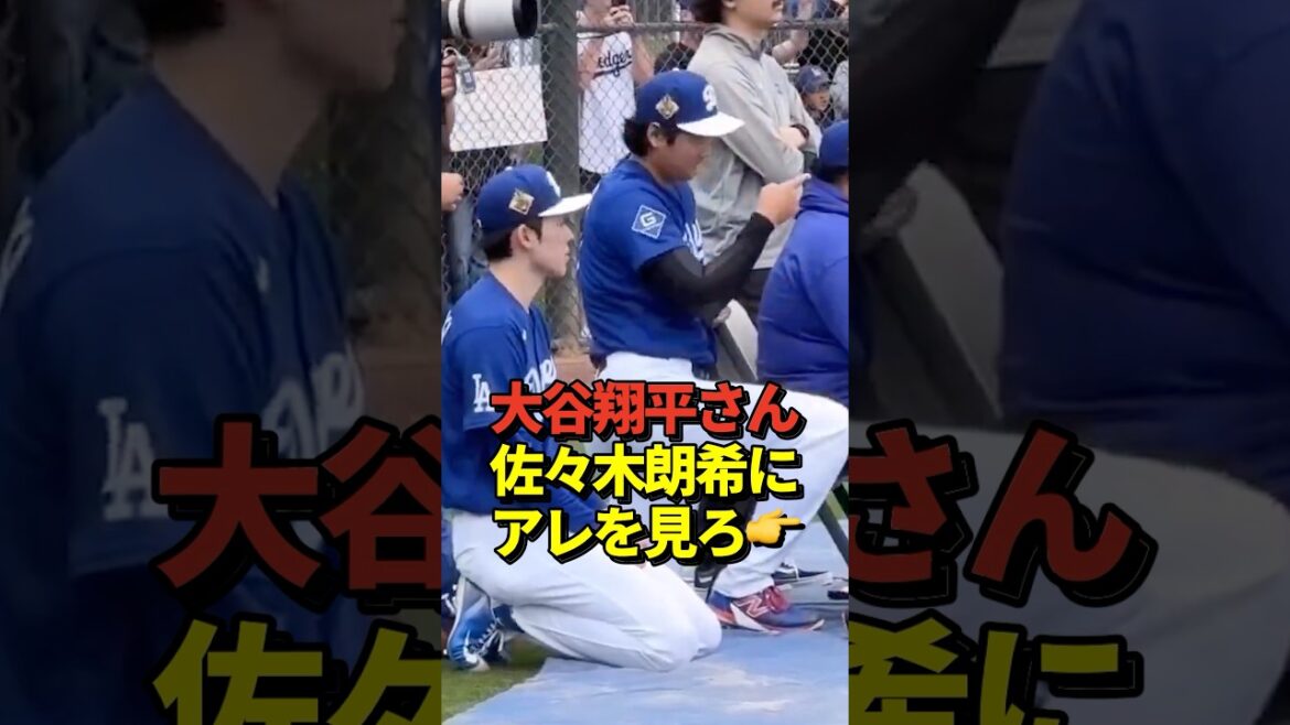 Enfin, le premier jour de camp ! Le lanceur Shohei Ohtani et le lanceur Aki Sasaki regardent le lanceur Yoshinobu Yamamoto lancer !