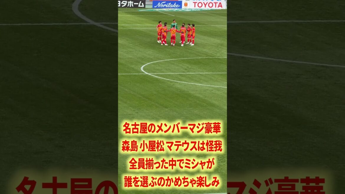 Les membres de Misha Nagoya sont magnifiques. Les membres de Misha Nagoya sont magnifiques.