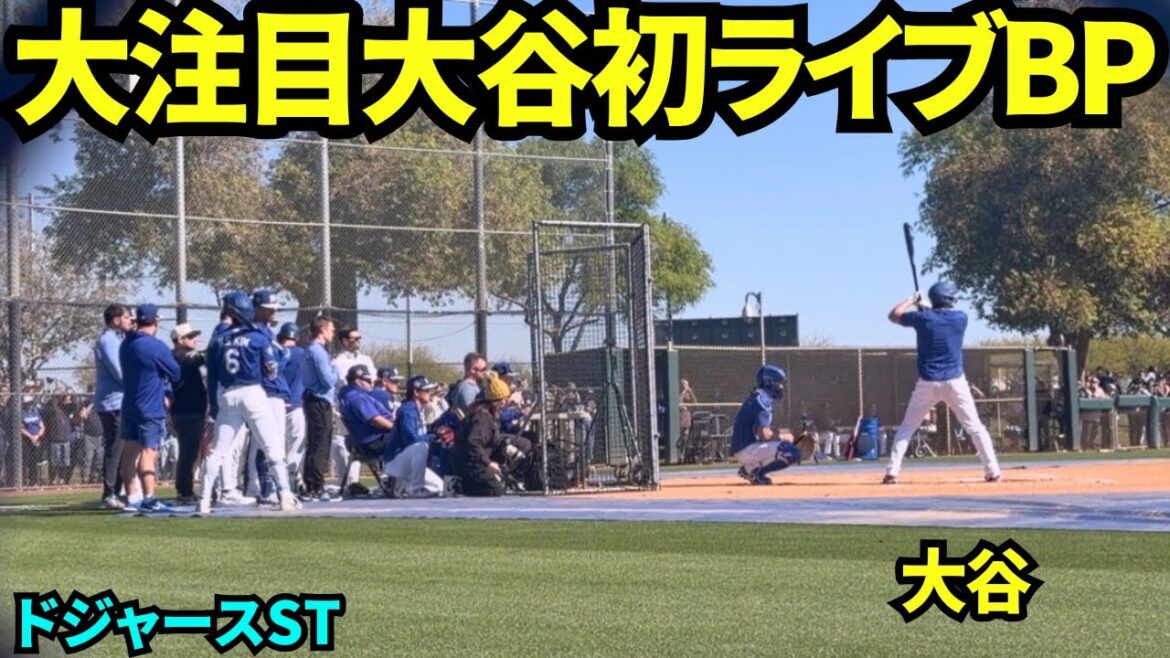 La pâte Otani commence ! ! Shohei Nakaotani Live BP sera regardé par les fans et ses coéquipiers pour la première fois cette saison ! ! Le pichet est en pierre ![Vidéos locales]Camp de printemps du 14 février 2026