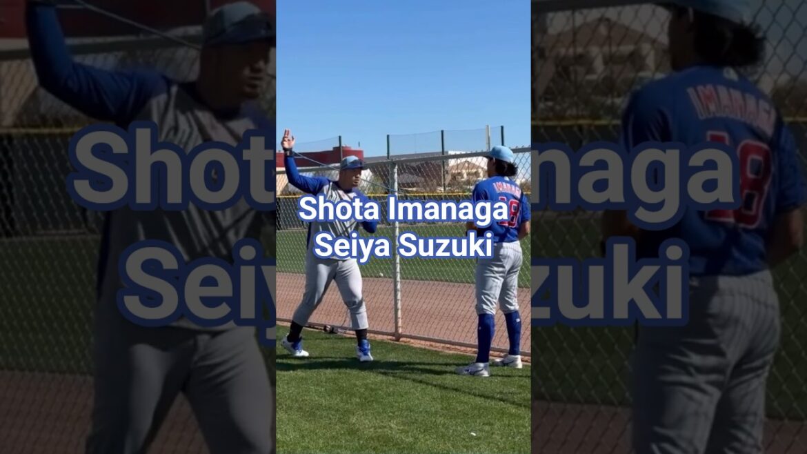 Shota Imanaga Seiya Suzuki