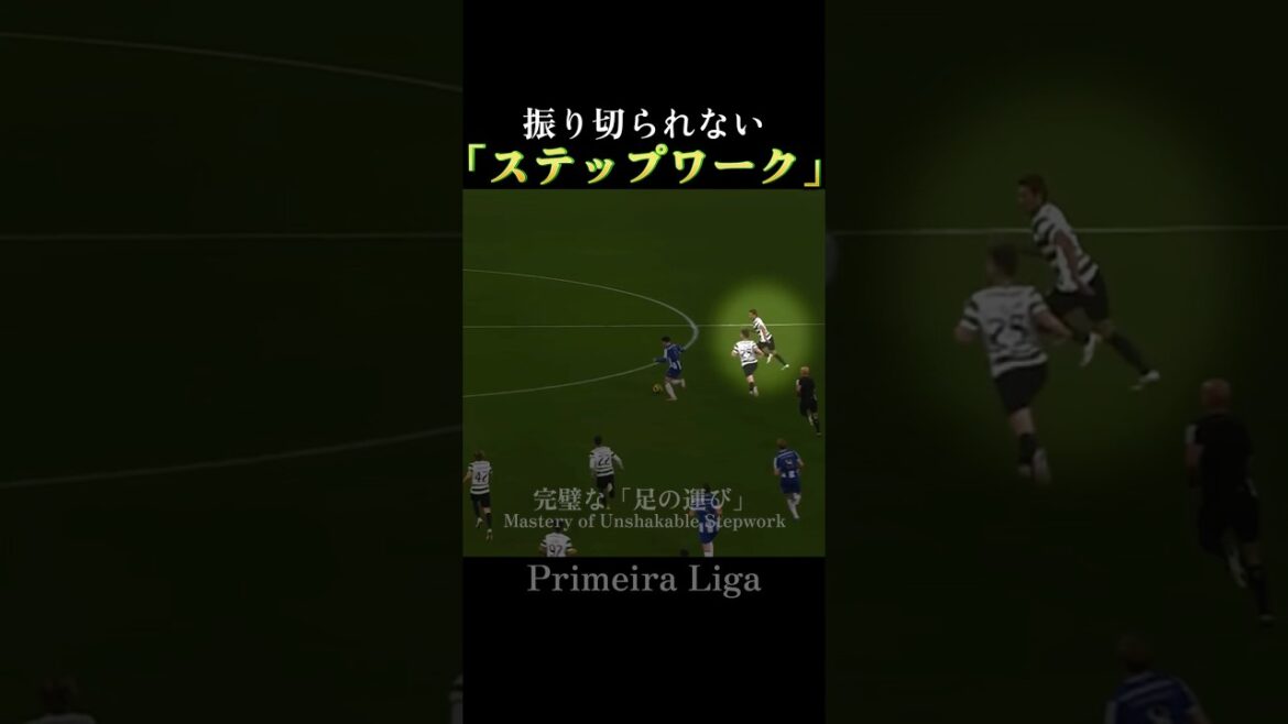 Hidemasa Morita | Un terrain de chasse momentané créé par la « persévérance »