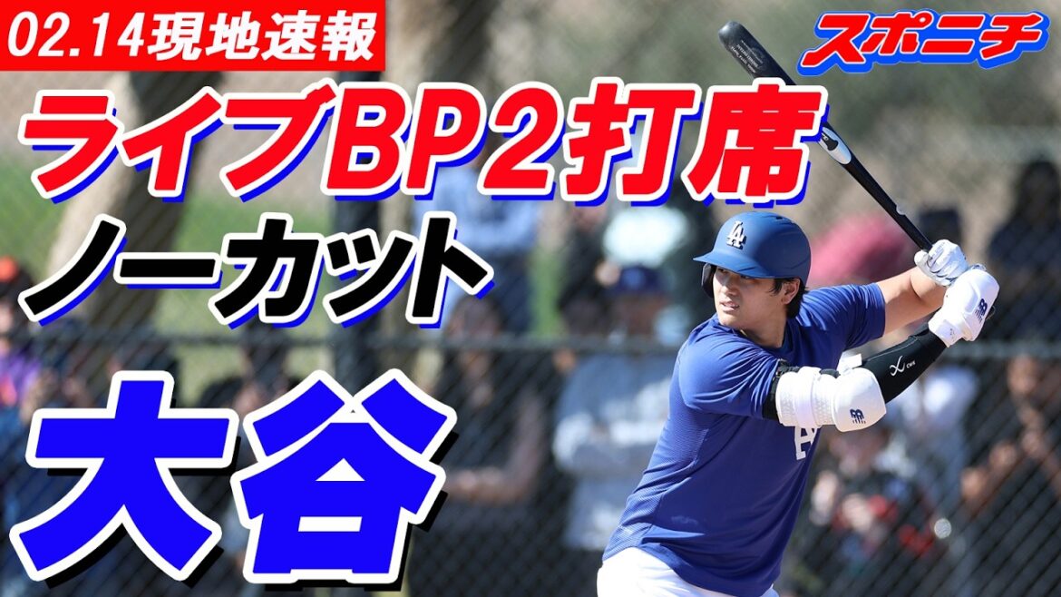 [Nouvelles locales de Shohei Otani du 14 février]Le premier live BP 2 de Shohei Otani au bâton, non coupé
