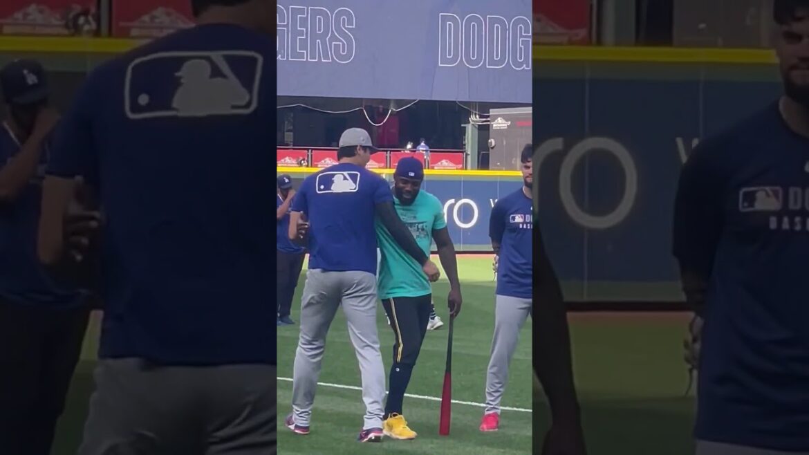 Shohei Otani, article spécial sur le gosse maléfique🤣 Shohei Otani, article spécial sur le gosse maléfique🤣