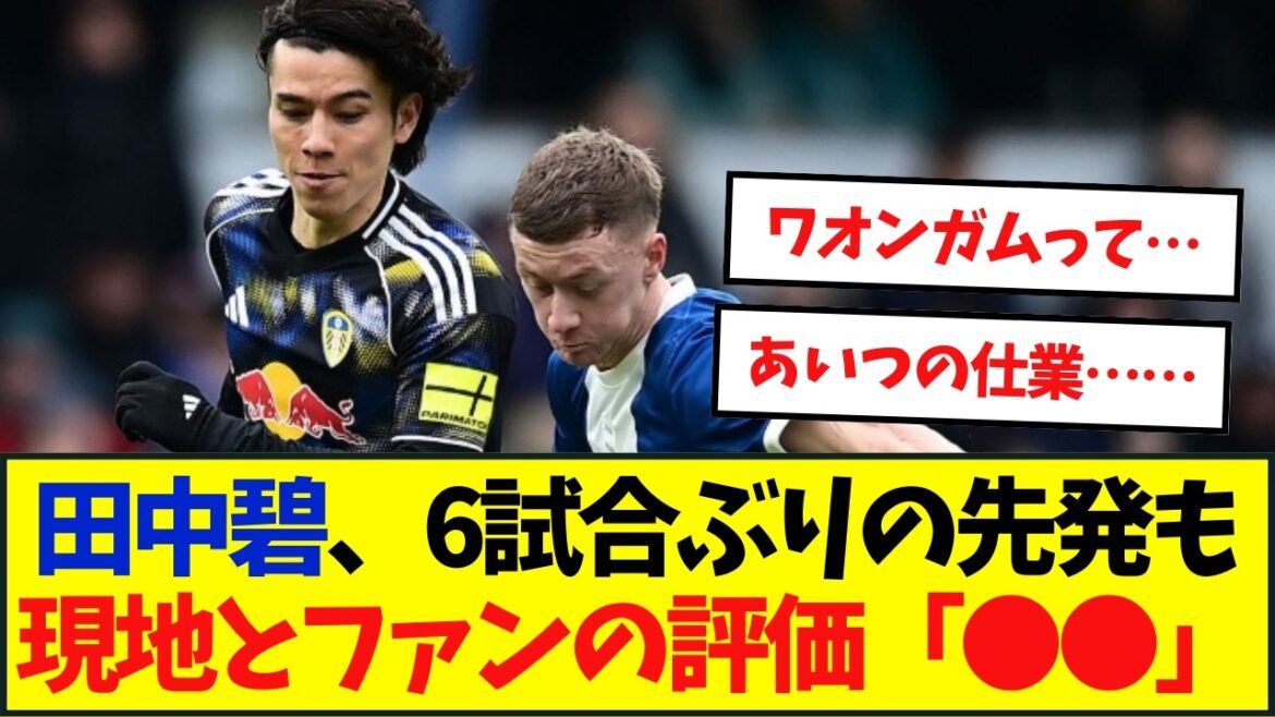 Aoi Tanaka est évaluée par les médias locaux...