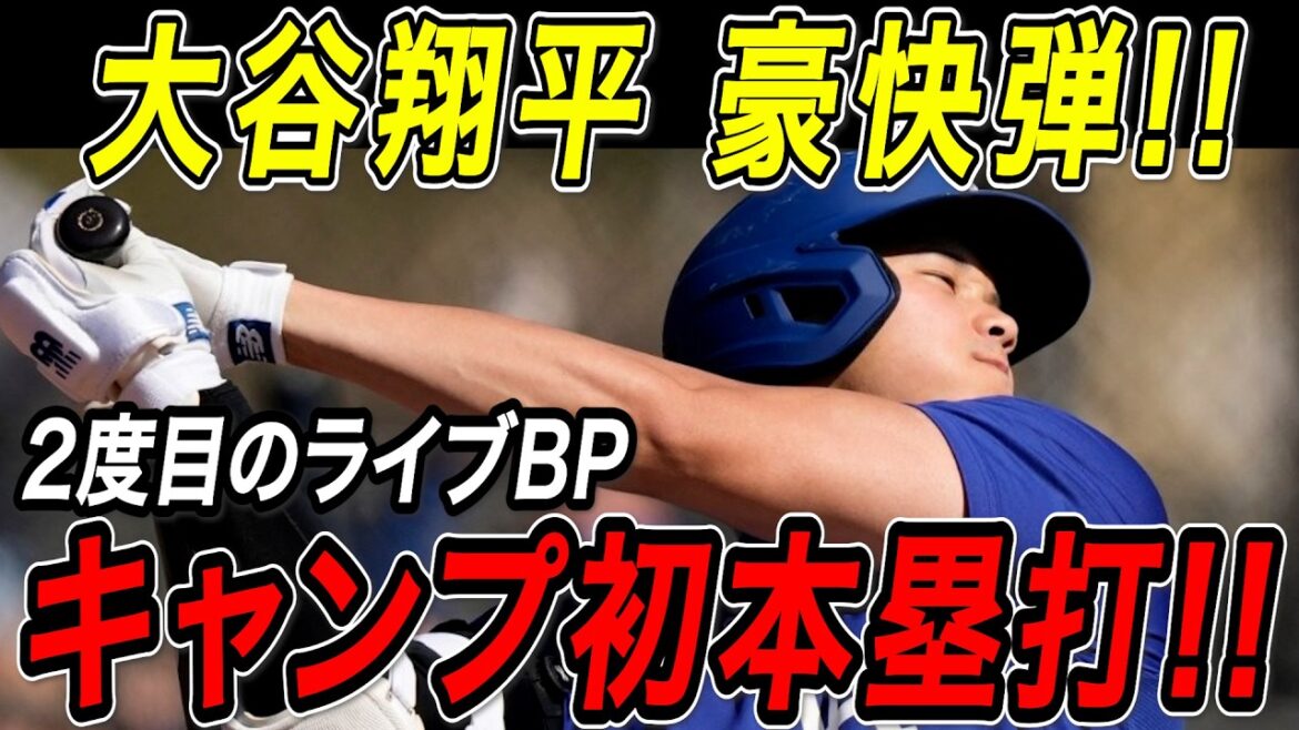 Shohei Otani énorme home run sur BP en direct ! ! Lors de la deuxième journée consécutive d'entraînement au bâton, il a montré son premier tir impressionnant du camp ! Camp des Dodgers[16 février][MLB/Shohei Otani/Overseas Reaction]