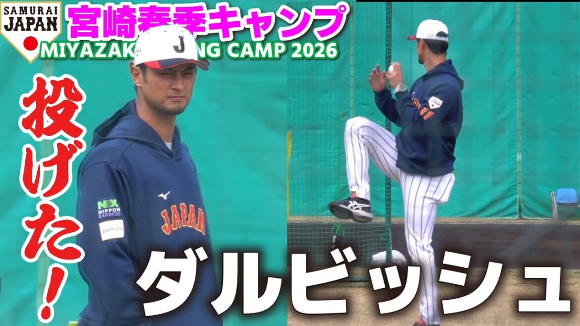 [SAMURAI JAPON]Yu Darvish a finalement lancé ! Une ruée de fans qui attendent avec impatience ! Le camping devient un tourbillon de joie en un instant ! WBC SAMOURAÏ JAPON
