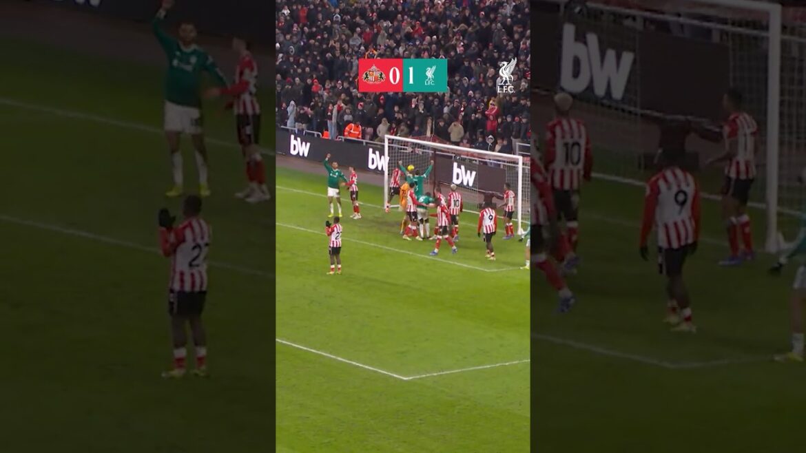 Temps forts : Sunderland contre Liverpool Temps forts : Sunderland contre Liverpool