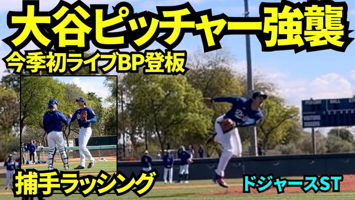 Le BP en direct de 98 milles le plus rapide de Shohei Otani ! Affrontez Siani, Teoscar, Pagés et Tucker ! ! La balle frappée par Siani semblait vouloir toucher directement Otani... ! ![Vidéos locales]Camp de printemps du 17 février 2026