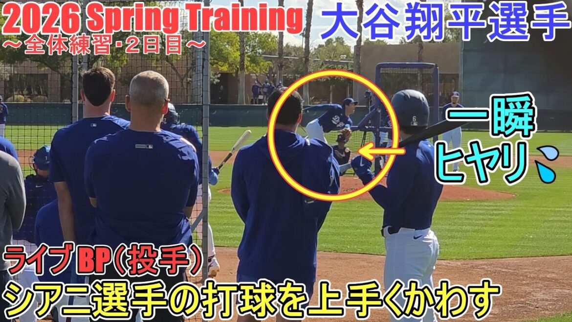 Live BP (Lanceur) ♦ 18 lancers, 2 retraits au bâton, 1 coup sûr contre 4 frappeurs ♦[Shohei Ohtani]~ Entraînement complet / Jour 2 ~ Shohei Ohtani Entraînement de printemps 2026