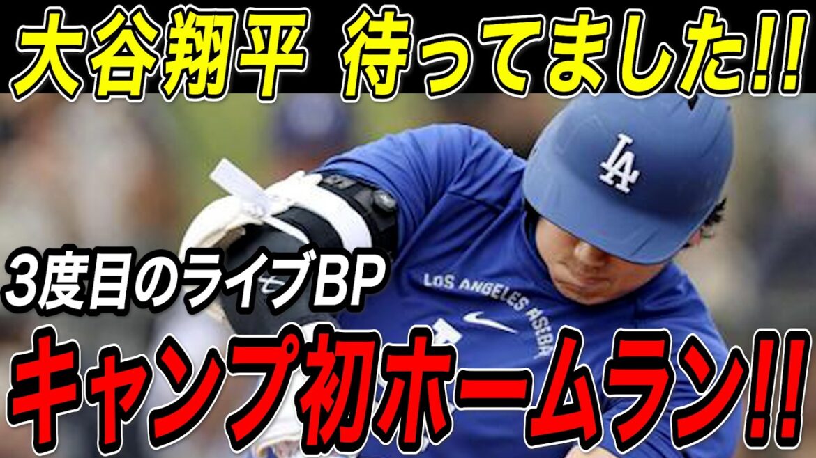 Premier coup de circuit de Shohei Otani au camp ! ! Une très grosse balle qui a été montrée lors du troisième live BP ! Camp des Dodgers[18 février][MLB/Shohei Otani/Overseas Reaction]