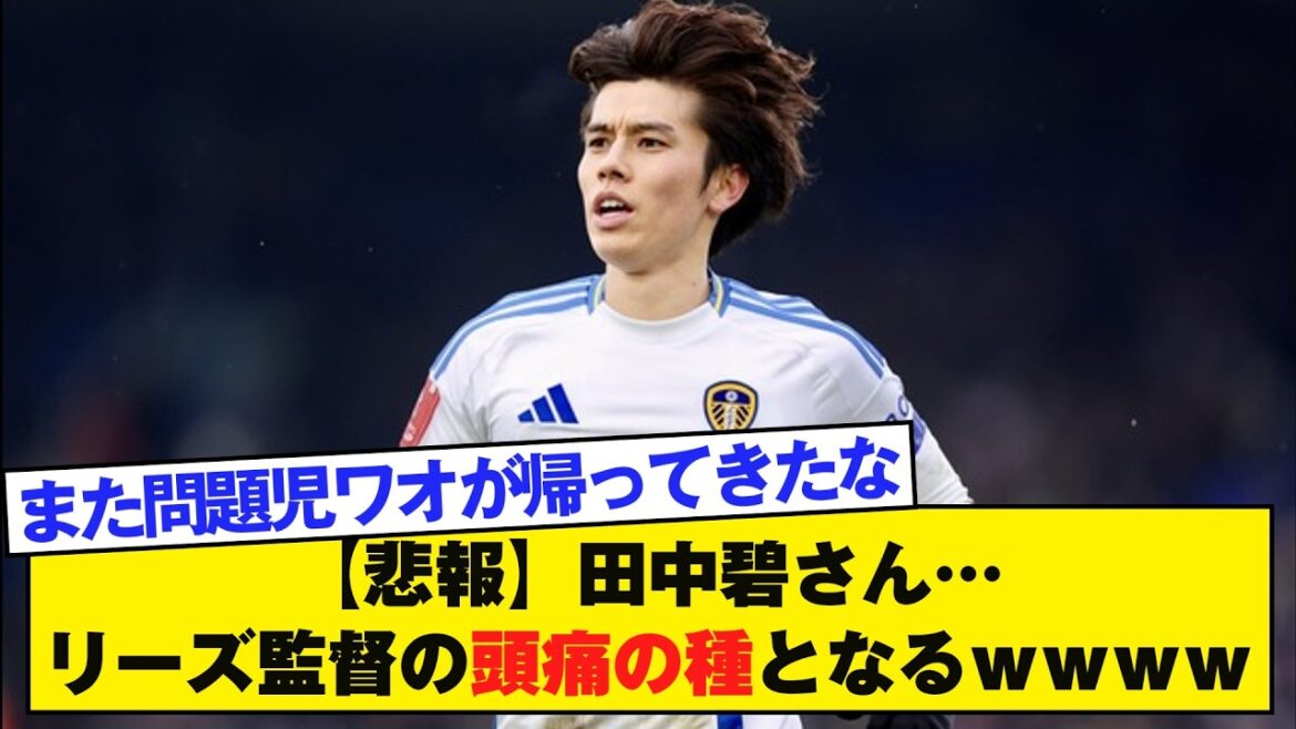 [Triste nouvelle]Aoi Tanaka... un casse-tête pour le manager de Leeds mdr