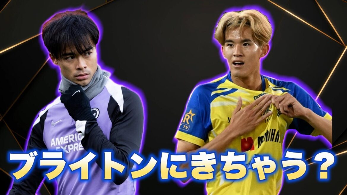 Keisuke va à Brighton, des rumeurs ? ? ? (La crédibilité est presque 0ww)