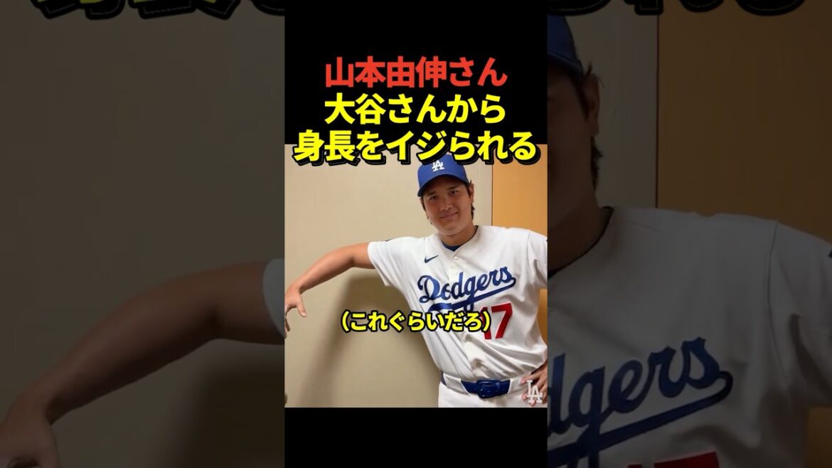Le lanceur Yoshinobu Yamamoto se fait taquiner sur sa taille par le lanceur Shohei Ohtani !