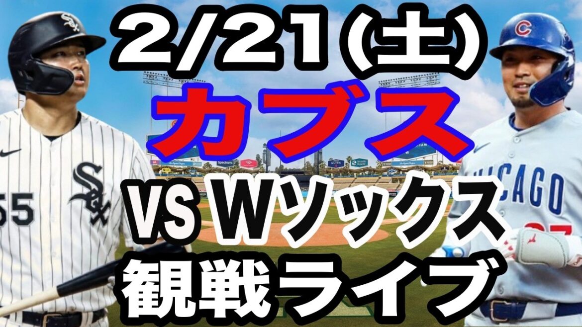 [Seiya Suzuki et Munetaka Murakami][Match ouvert en direct]21/02 (samedi) Cubs contre White Sox Open match en direct #Seiya Suzuki #Shota Imanaga #Munetaka Murakami #Shohei Otani #Yoshinobu Yamamoto #Diffusion en direct