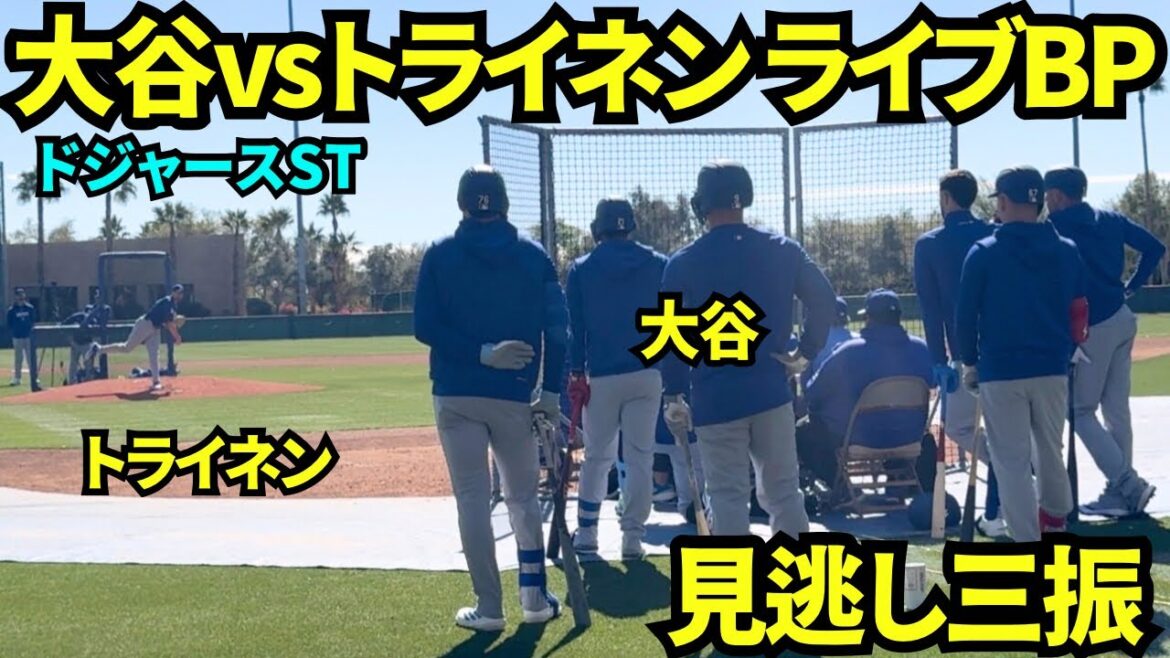 Treinen contre Shohei Otani en direct BP ! ! Le résultat a été une bouffée, une balle manquée, un retrait manqué ! ![Vidéos locales]Camp de printemps du 20 février 2026