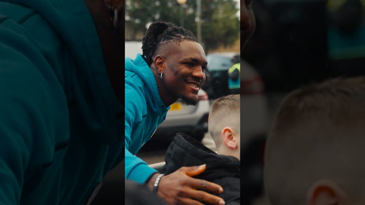 Crystal Palace prêt pour les loups #cristalpalace