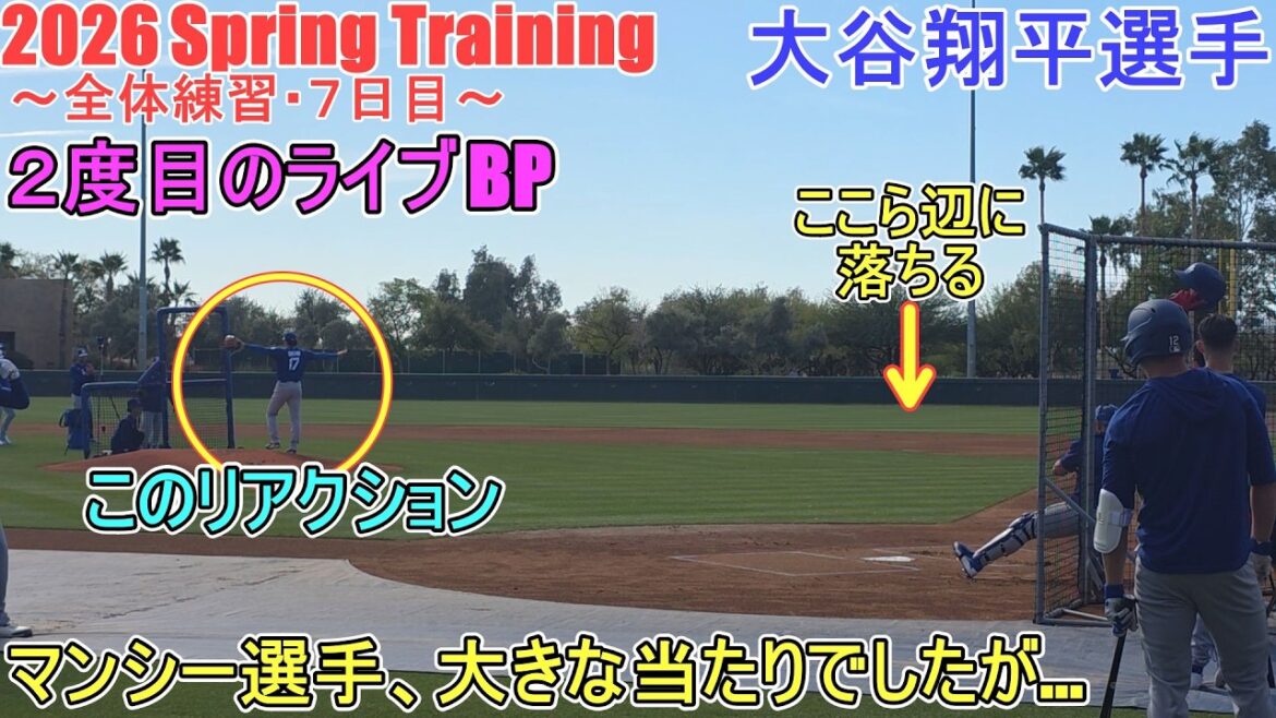 2e Live BP ♦ contre Muncy, Betts, Freeman, Pagés, Freeland ♦[Shohei Ohtani]~ Entraînement complet / Jour 7 ~ Shohei Ohtani Entraînement de printemps 2026