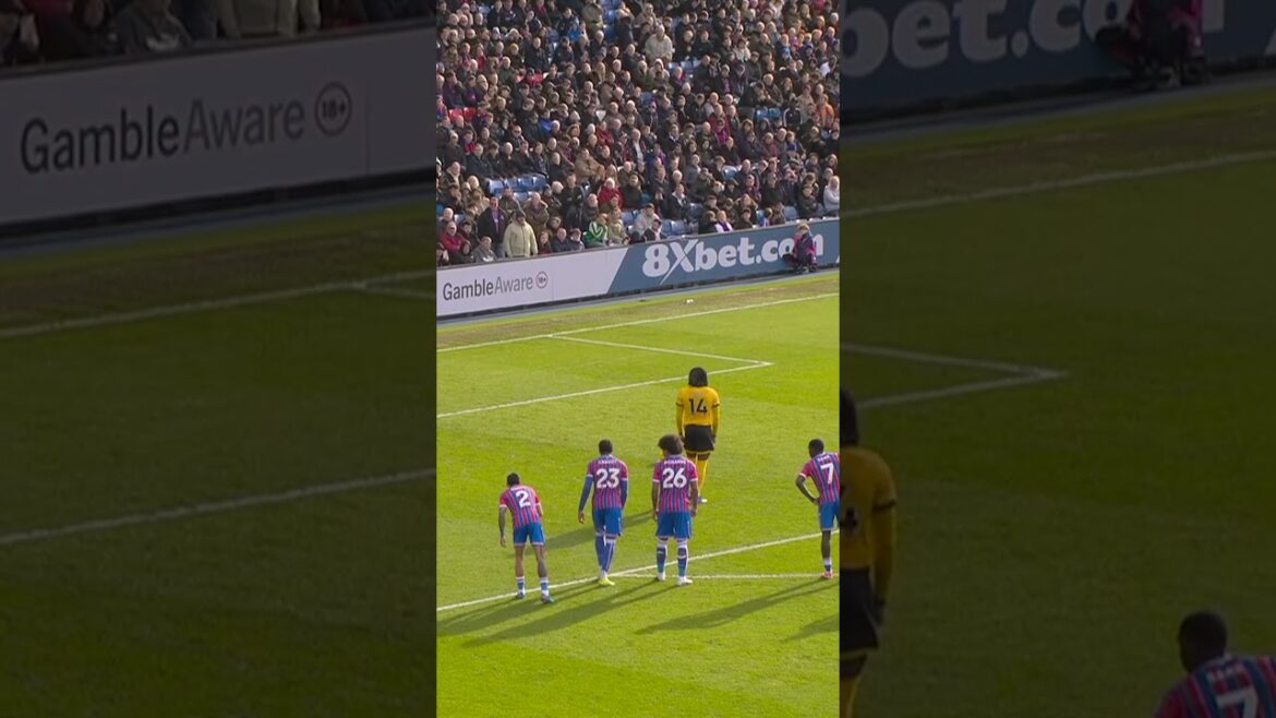 Le meilleur de Deano 🥰 #cristalpalace #palace #premierleaguehighlights