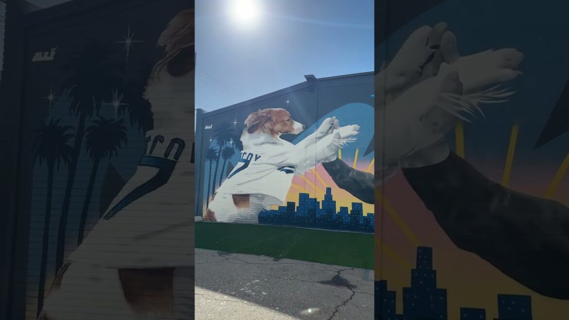 Pawradise Park a créé une fresque murale du premier emplacement de Shohei Ohtani et Decoy pour leur parc à chiens 💙