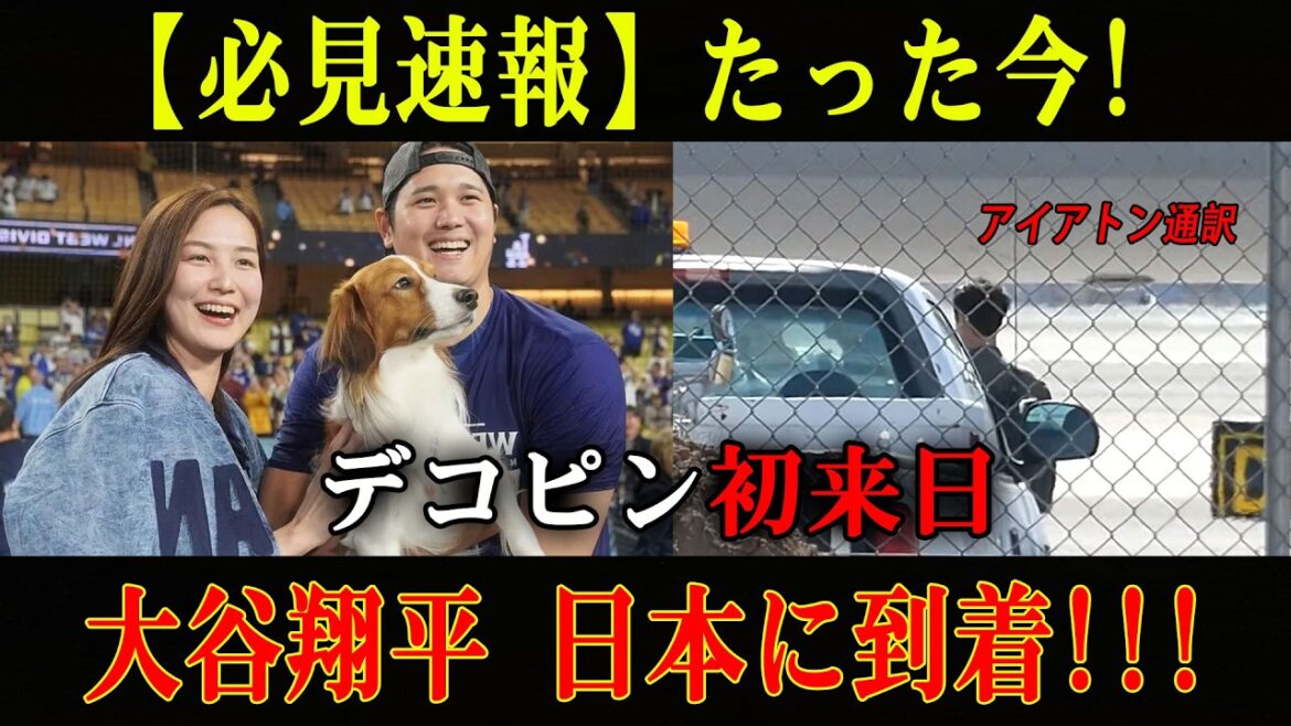 [Dernières nouvelles]Shohei Otani arrive au Japon à bord d'un avion affrété, accompagné de sa femme Mamiko et de sa fille, rejoignant Samurai Japan lors de la première visite de Dekopin au Japon !