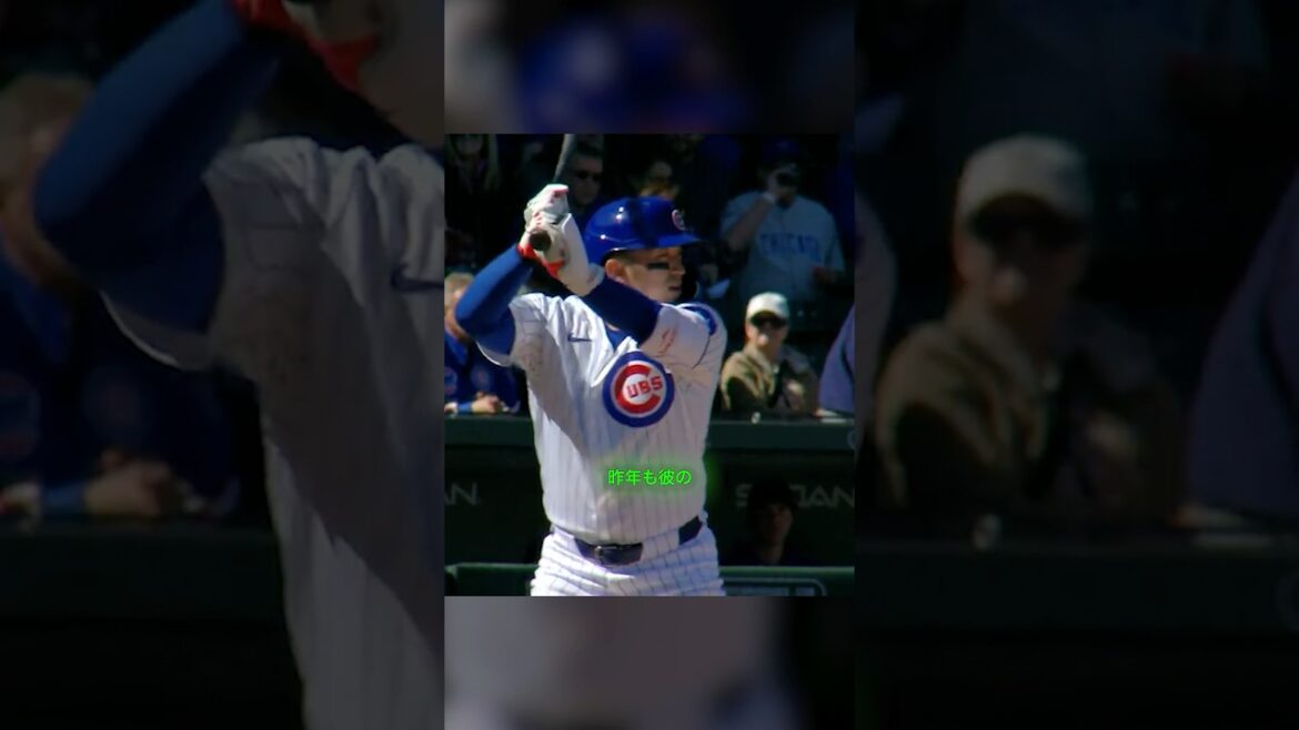 Seiya Suzuki réussit un tir puissant lors de sa première présence au bâton du printemps ! #Baseball #Seiya Suzuki #mlb Seiya Suzuki réussit un tir puissant lors de sa première présence au bâton du printemps ! #Baseball #Seiya Suzuki #mlb