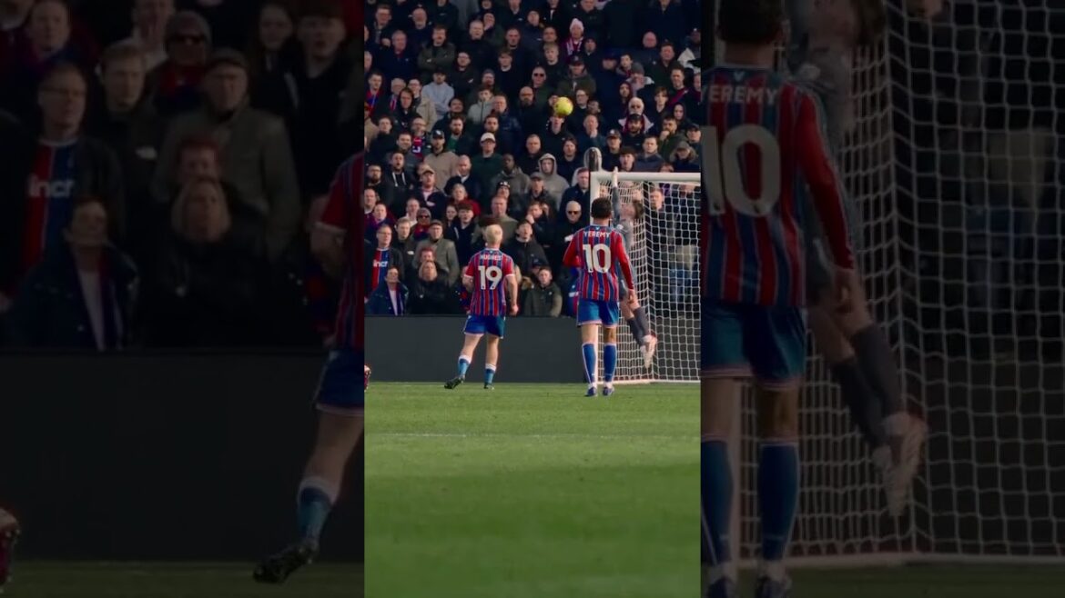 QUE Henderson sauve 🧤 #premierleague #cpfc #wolverhampton