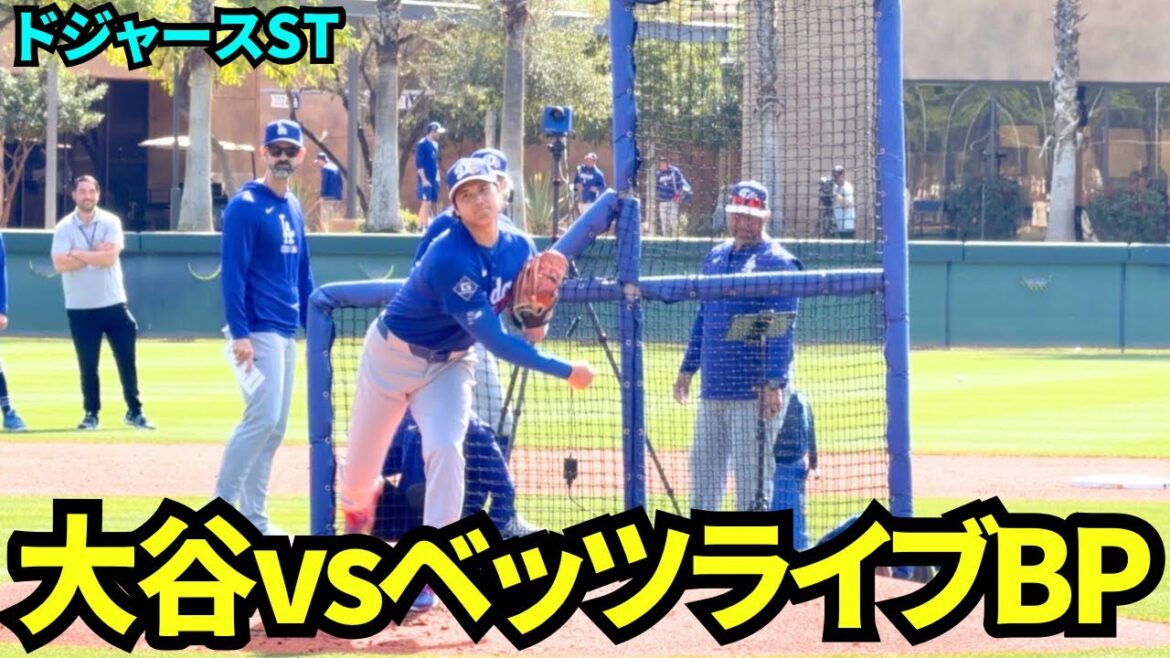 Shohei Otani Live BP 2ème manche ! Freeland affronte Betts et d'autres sous les yeux d'Aki Sasaki ! ![Vidéos locales]Camp d'entraînement de printemps des Dodgers 2026