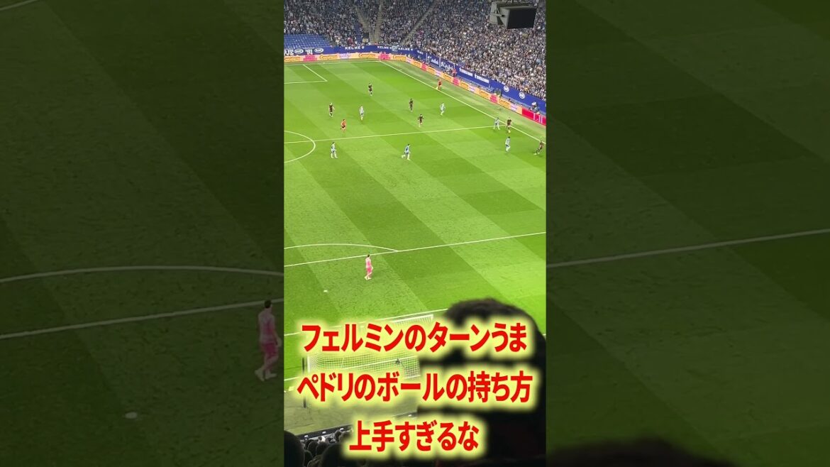 Fermin est trop pointu