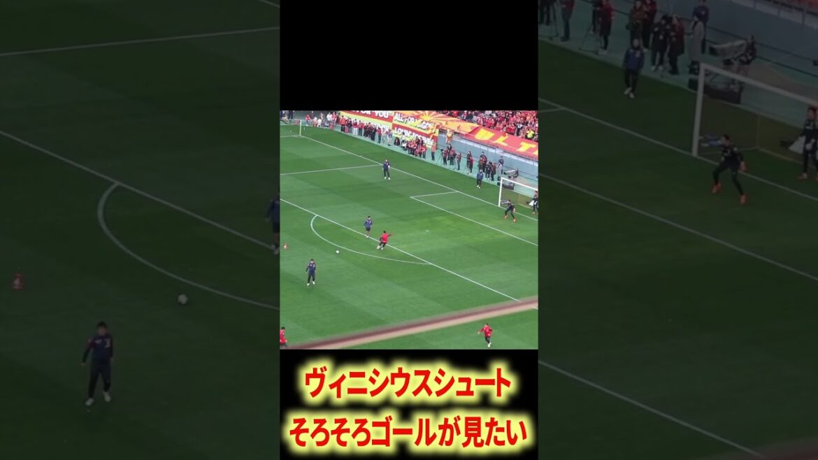 Marcus Vinicius tire bien