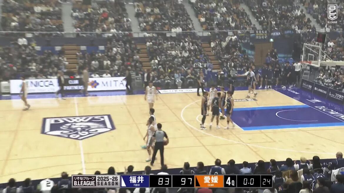 Fukui Blowinds contre Ehime Orange Vikings – Jeu condensé