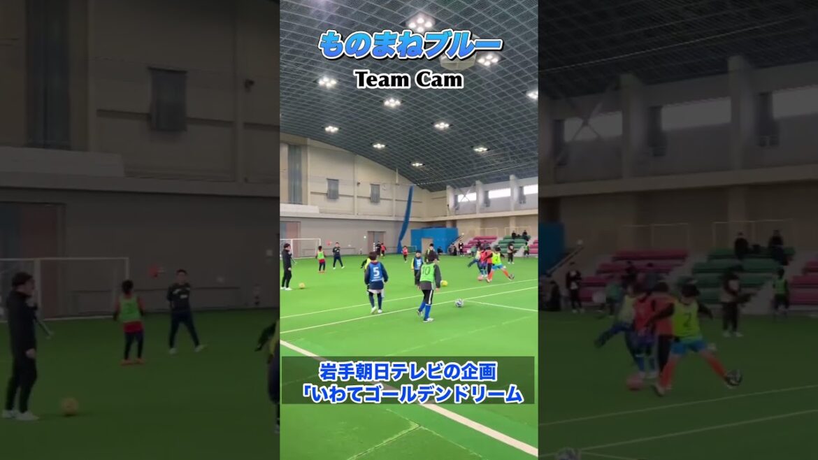 Projet d'Iwate Asahi TV "Iwate Golden Dream #shorts"