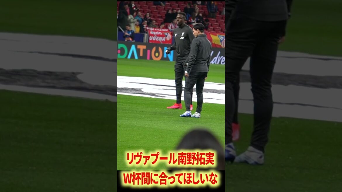 La meilleure relation entre Minamino et Firmino