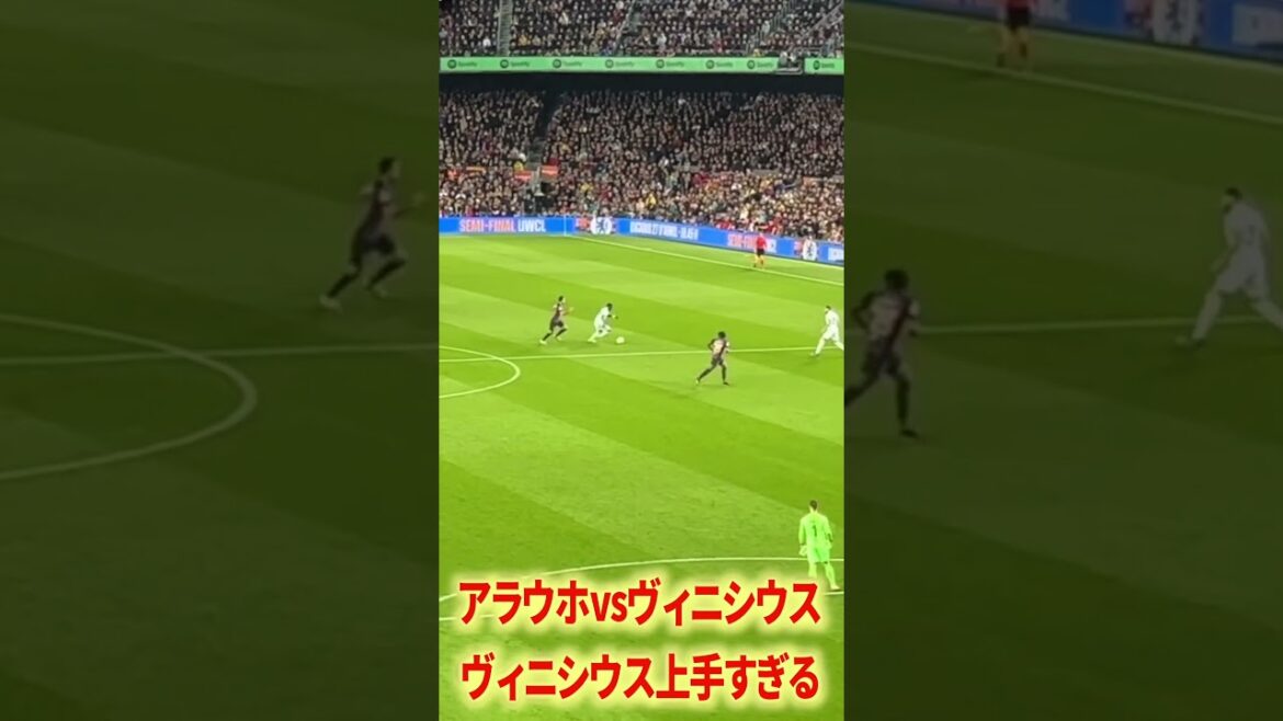 Vinicius contre Araujo Vinicius contre Araujo