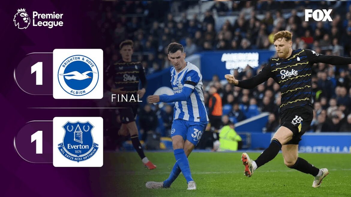 BRIGHTON 1-1 EVERTON | RÉSUMÉ | PREMIÈRE LIGUE | JOUR 24