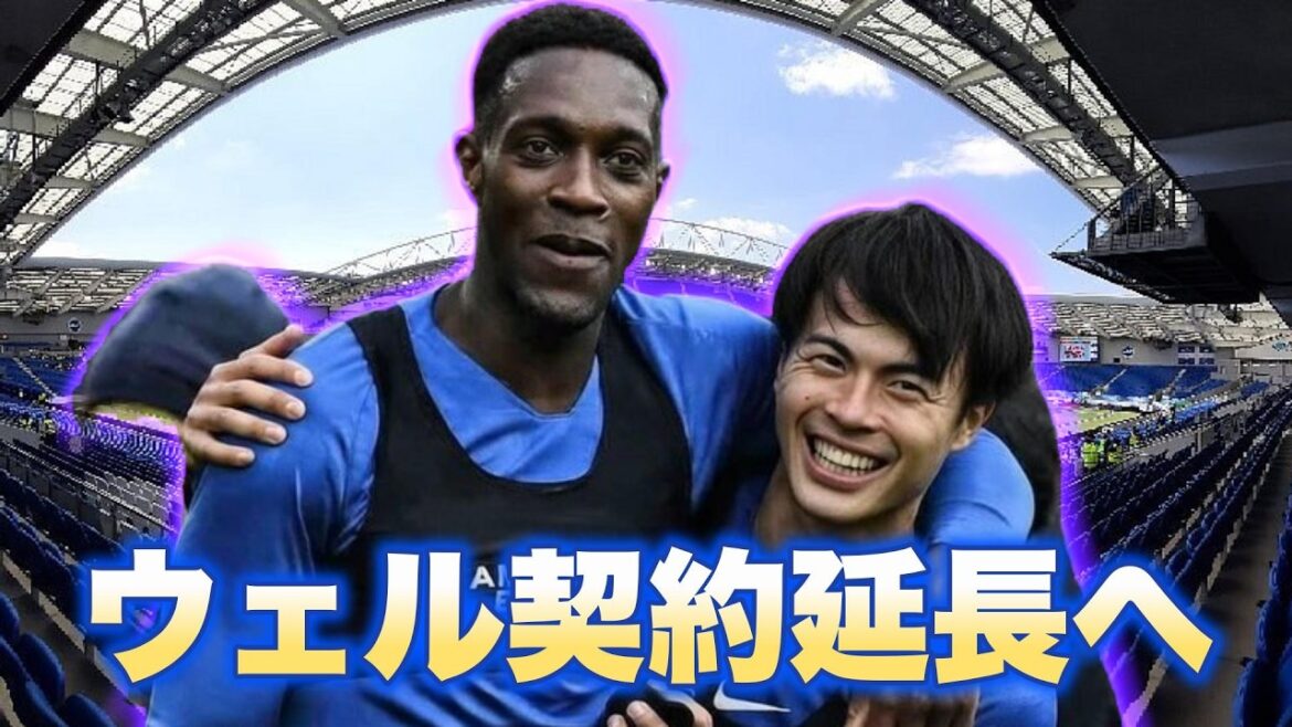 Option de prolongation de contrat Welbeck activée ! A prolonger jusqu'à la saison prochaine