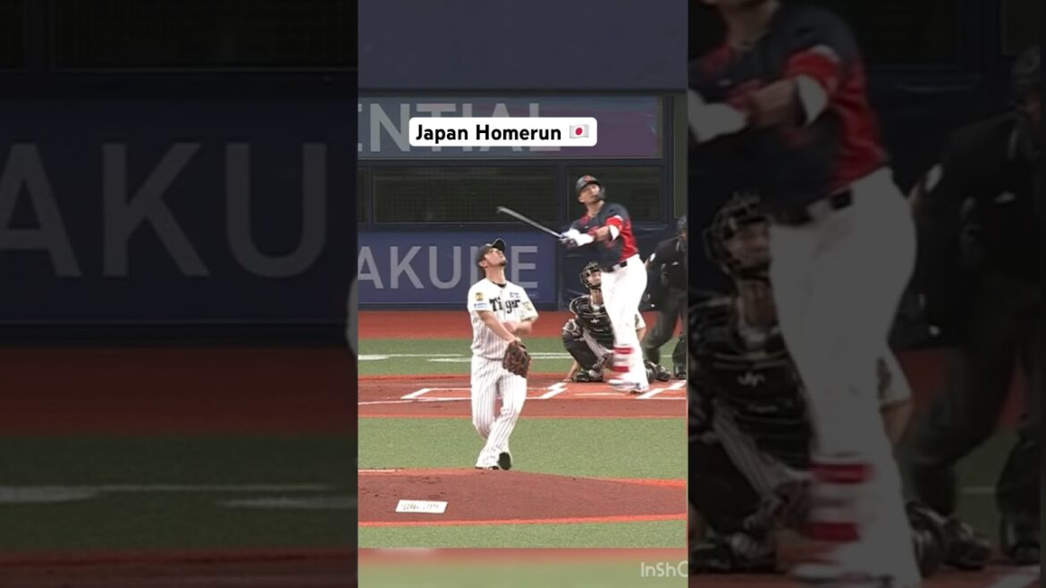Seiya Suzuki HR en exposition ❗️🔥#japan #npb #mlb #mlbb #baseball #sports #mlbshorts #espn #fypシ Seiya Suzuki HR en exposition ❗️🔥#japan #npb #mlb #mlbb #baseball #sports #mlbshorts #espn #fypシ