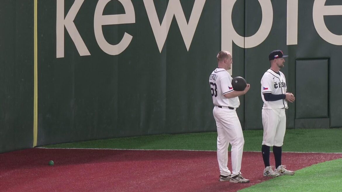 [LIVE]L'ancien géant Fulp et d'autres apparaissent ! Formation officielle des représentants nationaux WBC