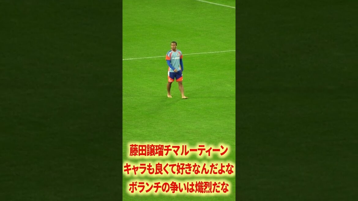 J'aime la routine de Joruchima Fujita.