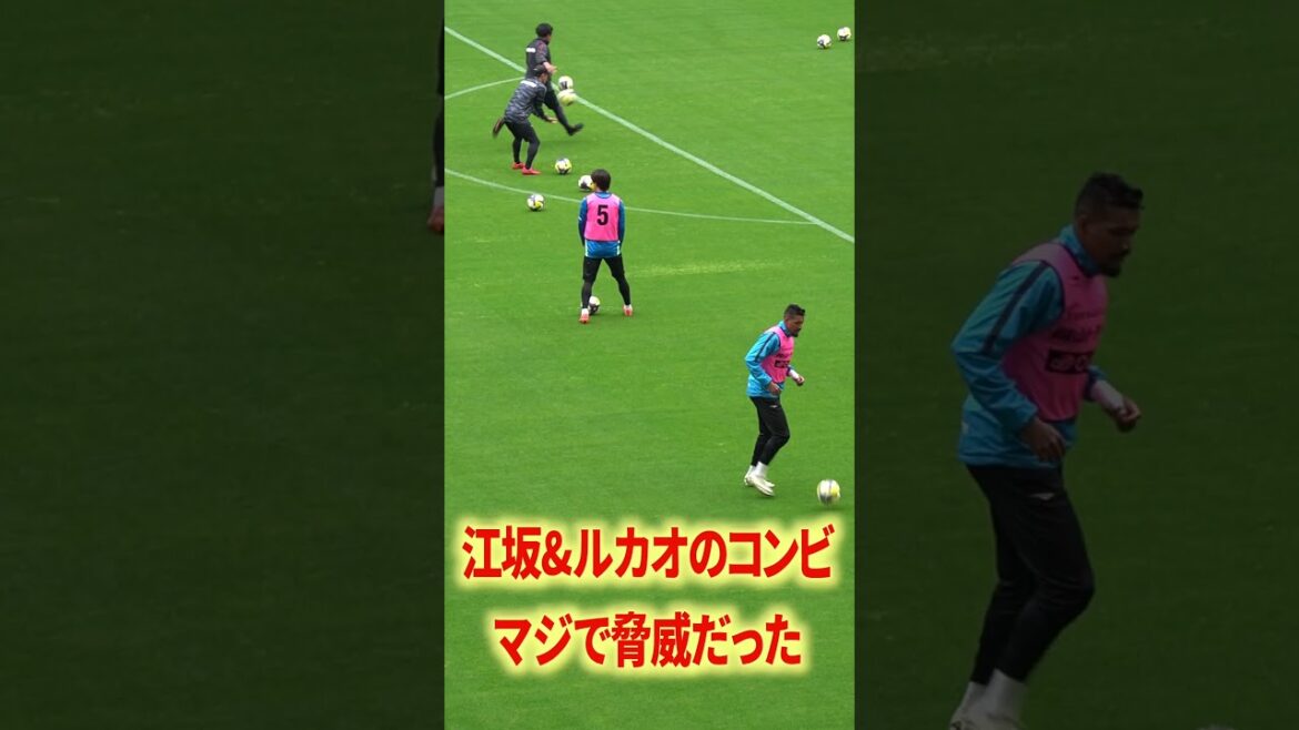 Lucaso était trop agressif physiquement