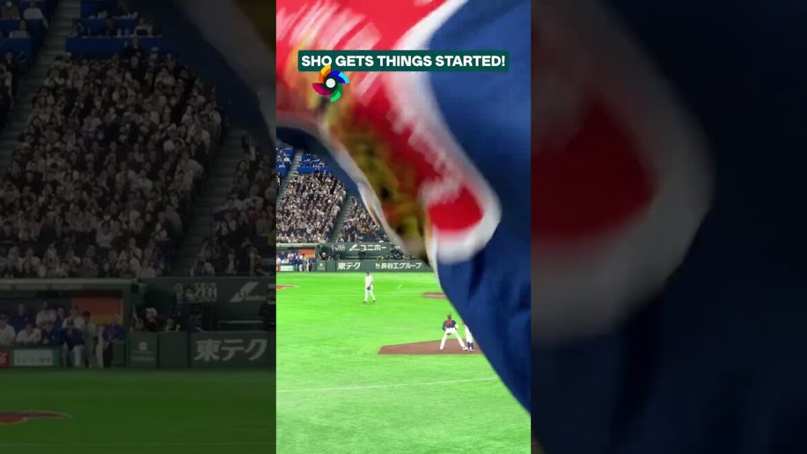 Shohei Ohtani depuis les tribunes ! 🤩 #WorldBaseballClassique
