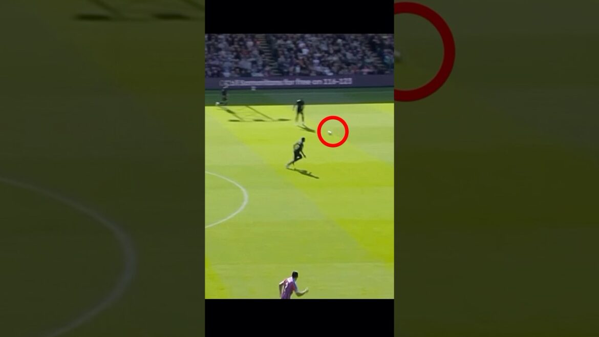 Flash monopode ! Le jour où Daichi Kamata a enthousiasmé le public avec sa technique Aripasu ! #Football #Daichi Kamata