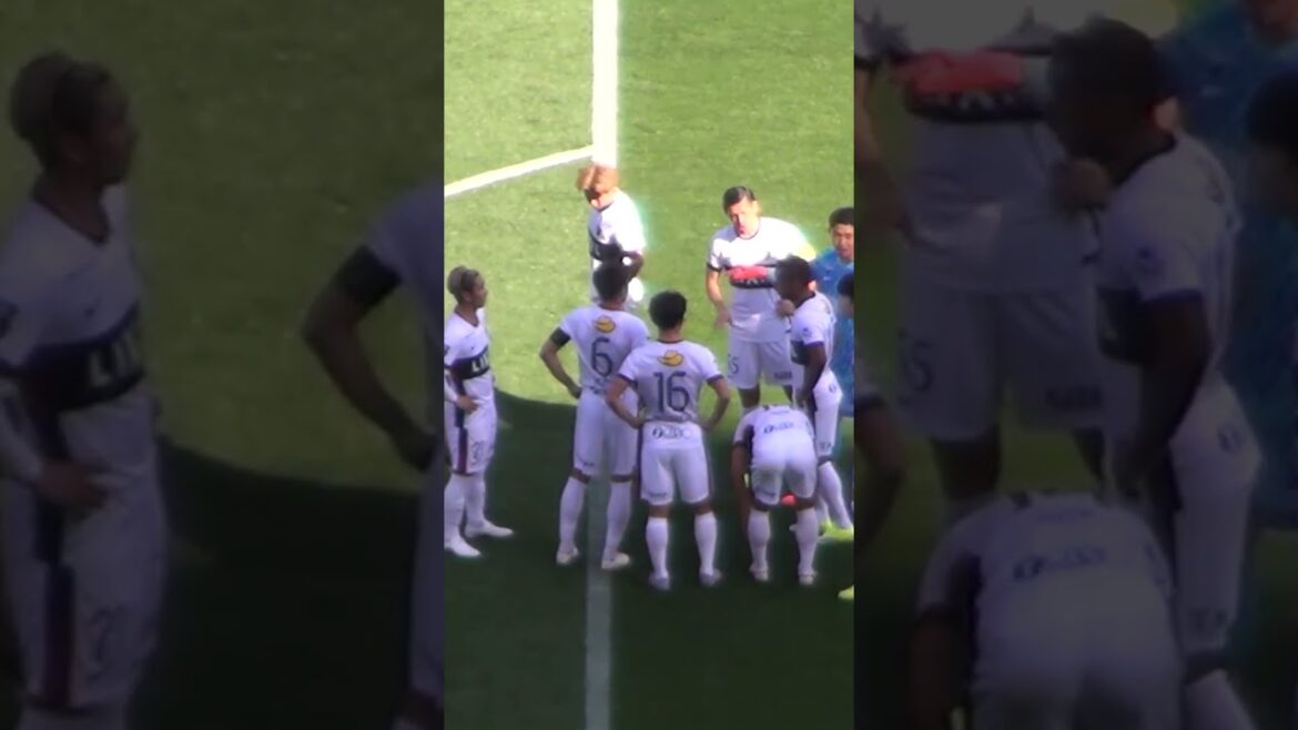 Réunion d’urgence verticale | Ligue Vision du Centenaire 2026 Urawa Reds 2-3 Kashima Antlers | Bois de Kashima Réunion d'urgence verticale | Ligue Vision du Centenaire 2026 Urawa Reds 2-3 Kashima Antlers | Bois de Kashima