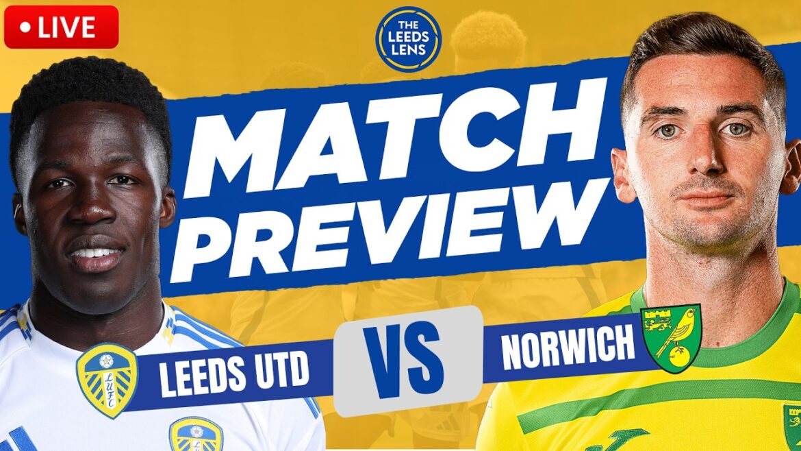« PRENEZ VOTRE CHANCE » | Leeds contre Norwich | Aperçu du match !