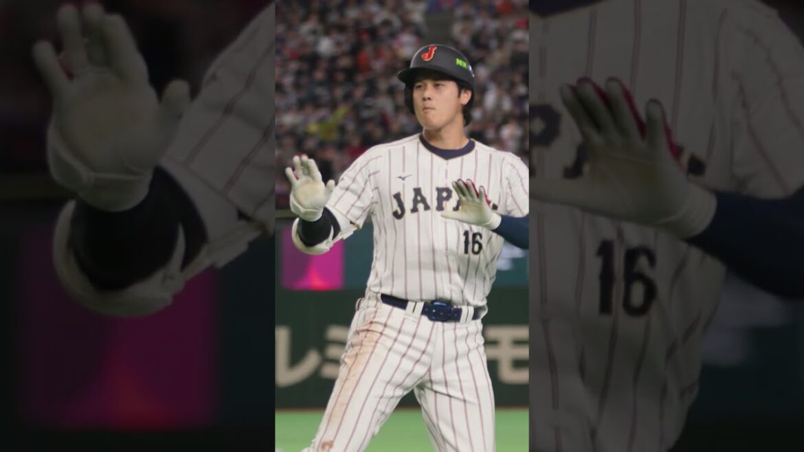 Cette vue du terrain du home run de Shohei Ohtani ✋ #WorldBaseballClassic Cette vue du terrain du home run de Shohei Ohtani ✋ #WorldBaseballClassic