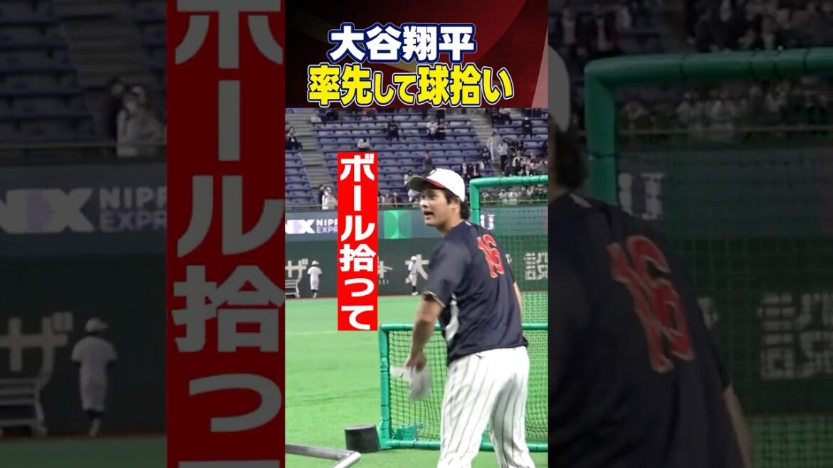 [Shohei Otani prend l'initiative de récupérer le ballon]| Scène surprenante découverte chez Samurai Japan | Classique mondiale de baseball (WBC) #shorts