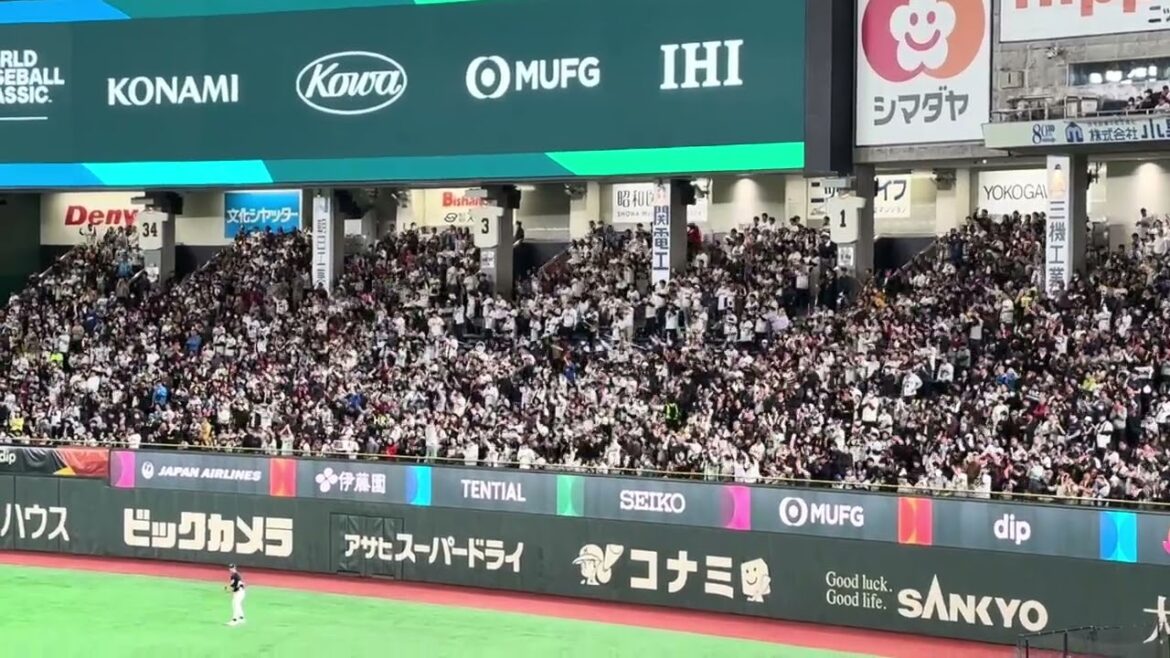 WBC2026 Chanson d'encouragement de Seiya Suzuki[SAMURAI JAPON]