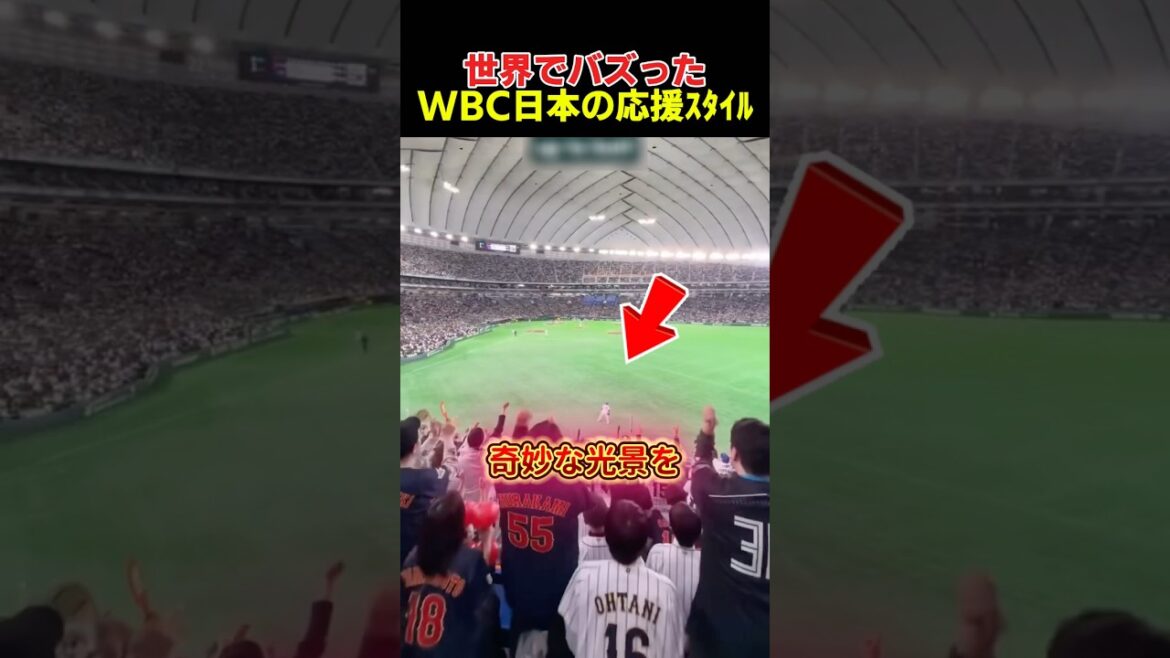 Le style d’encouragement du WBC Japon devenu viral dans le monde entier Le style d'encouragement du WBC Japon devenu viral dans le monde entier