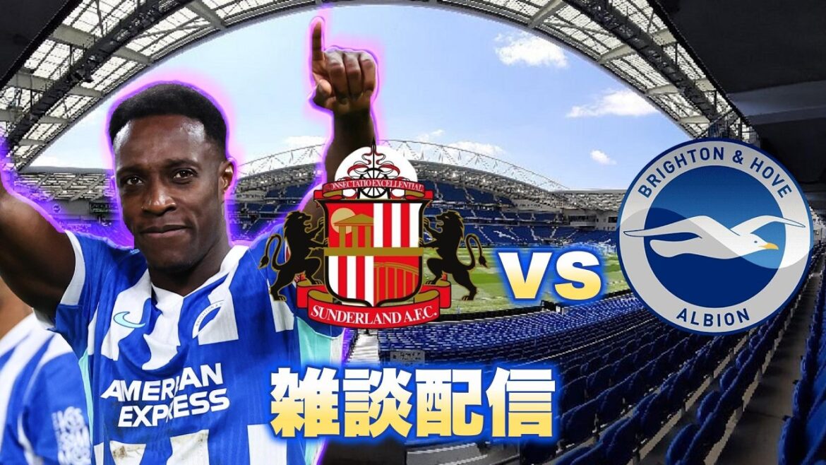 Chat Sunderland vs Brighton en streaming !