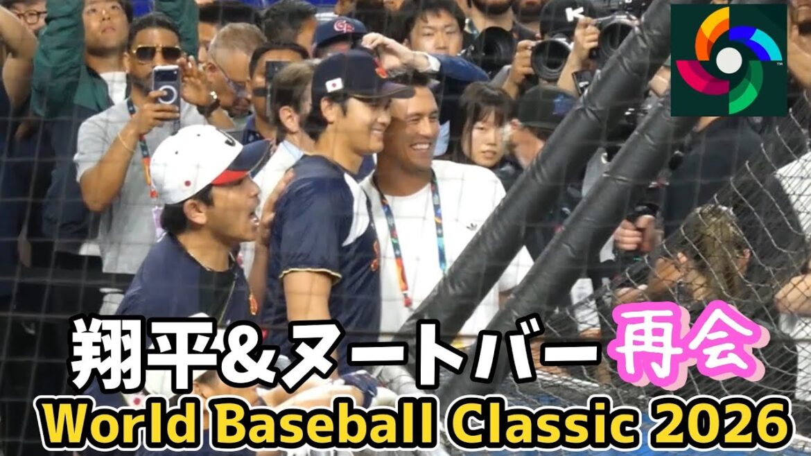 Juste avant les quarts de finale, on retrouve Tacchan devant Shohei Otani BP ! Je l'ai aussi époustouflé aujourd'hui !